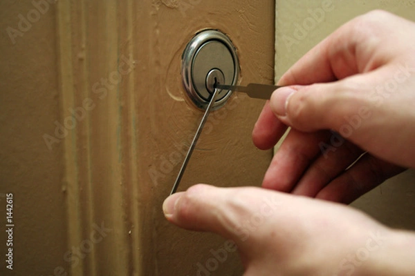 Obraz picking lock with tools