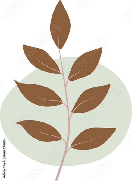 Fototapeta Abstract Botanical Boho Composition with Organic Shapes and Mid Century Modern Foliage Design