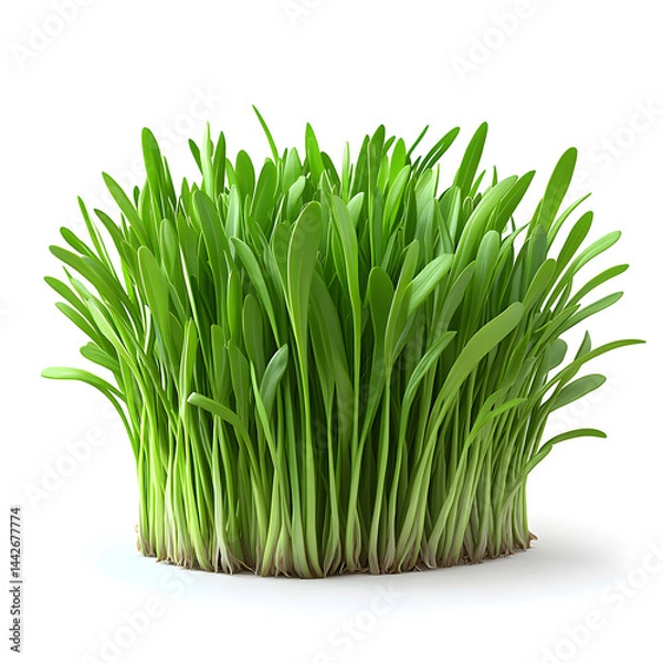 Obraz Fresh green grass growing isolated on white background