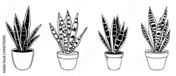 Fototapeta snake plant potted set black and white line art