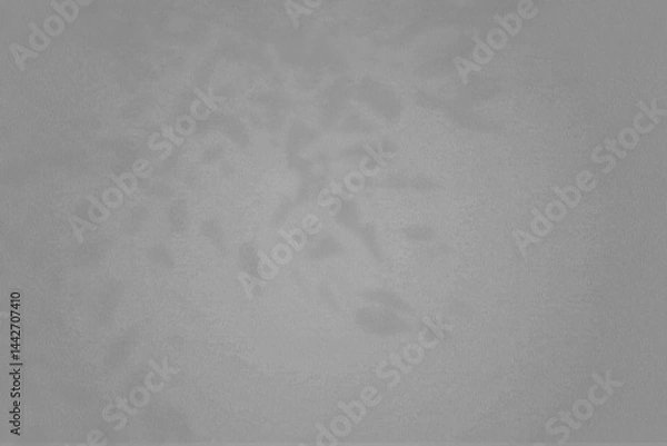 Fototapeta Natural light casts a shadow from a willow branch. Top view of the shadow of a plant on a textured gray background.