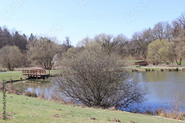 Obraz Holzbrücke am See.