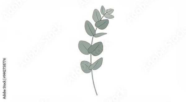 Obraz Simple white euclyptus sprig in clean minimal style