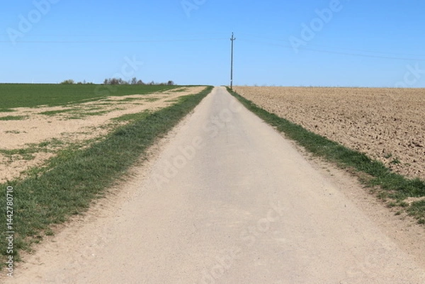 Obraz Feldweg. Ackerweg.