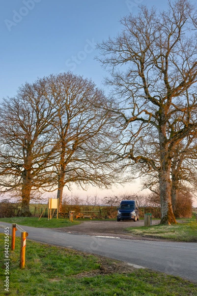 Obraz Van parked near picnic area in countryside at sunset under bare trees