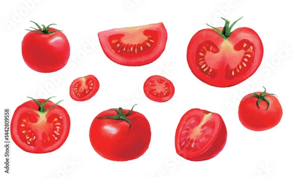 Obraz 様々な角度のトマトの水彩風イラストセット　生成AI