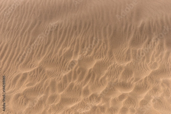 Fototapeta Sand beach texture. Brown sandy beach for background