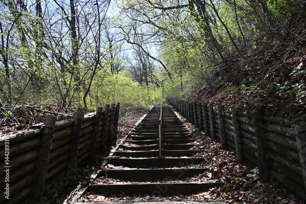 Obraz 群馬県の伊香保にある山ノ公園に通じる散策路の風景