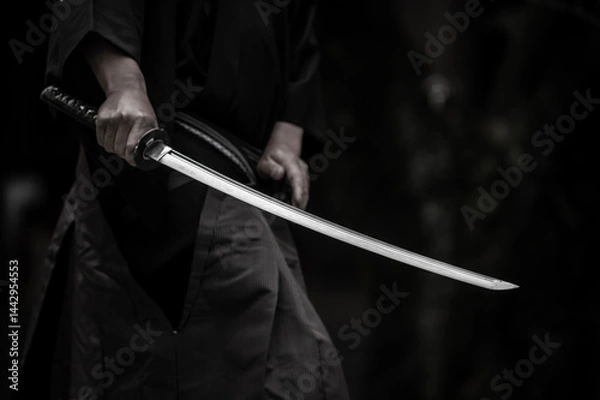 Obraz 刀を構えた人物