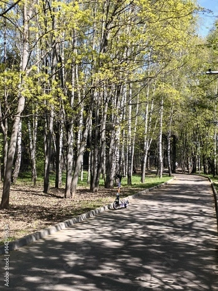 Obraz Alley in spring park with bright greenery and an abandoned scooter on the path
