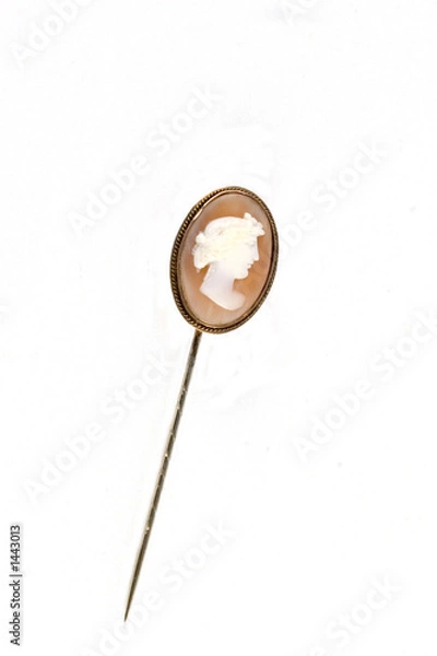 Obraz cameo pin alpha