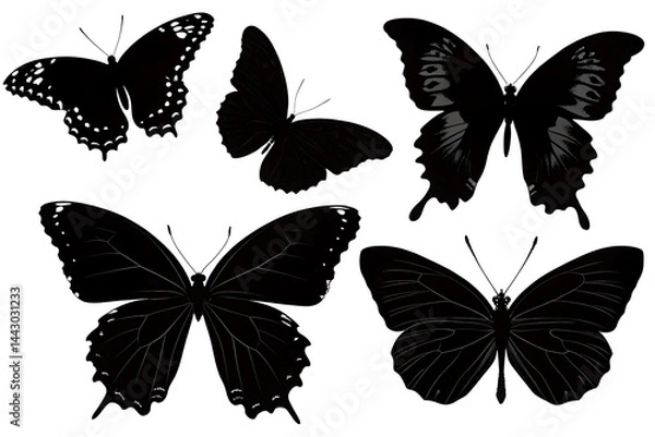 Obraz collection of butterflies