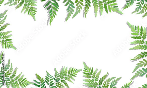 Obraz Tropical green leaves frame isolated on white background. natural border with copy space.