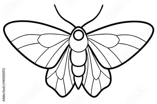 Obraz Opal Wings Illustration