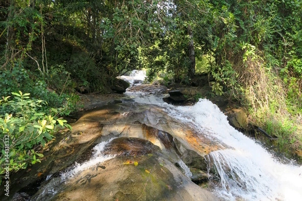 Obraz clear river flowing through the green forest