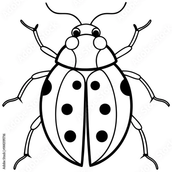 Fototapeta Minimalist One-Line Ladybug Vector