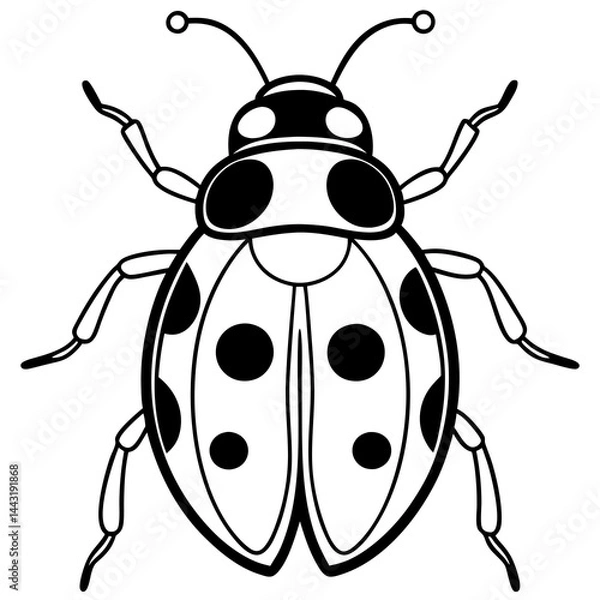 Fototapeta Minimalist One-Line Ladybug Vector