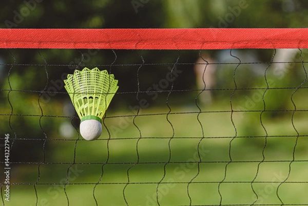 Obraz Badminton Shuttlecock Caught in Net During Outdoor Game