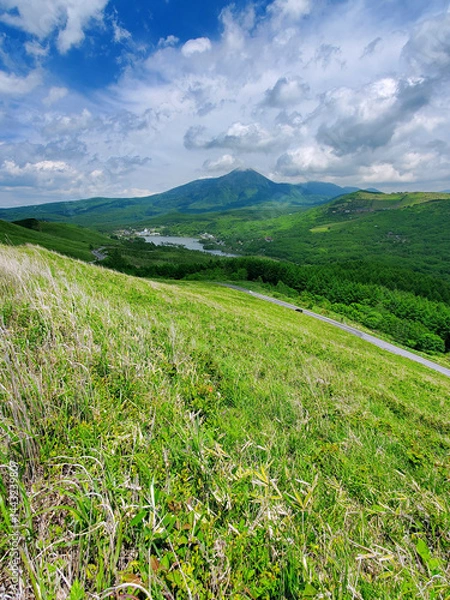 Obraz 6月の爽やかな高原 霧ヶ峰と蓼科山