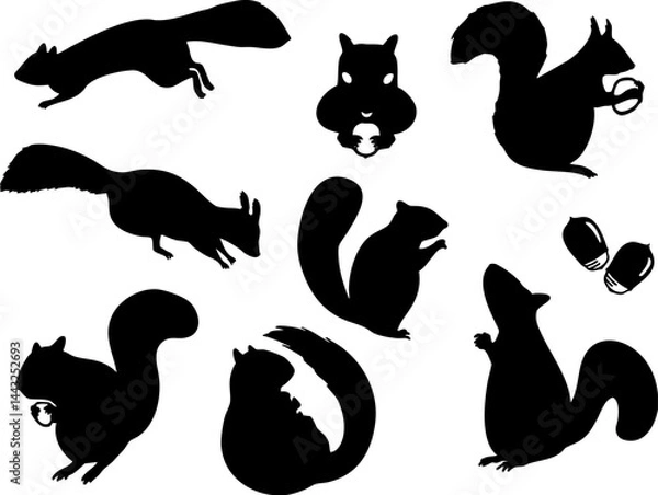 Obraz リス　モノクロシルエットイラストセット
