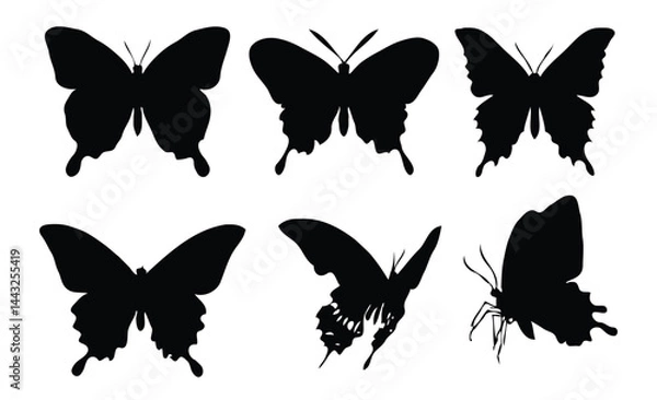 Fototapeta set of butterfly silhouette vector