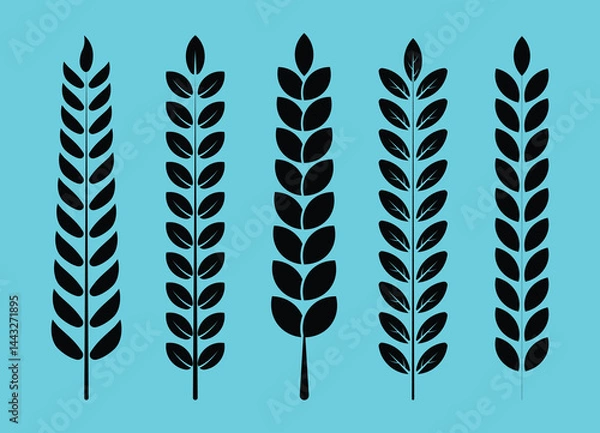 Fototapeta Black color leaf and branch beautiful brush design