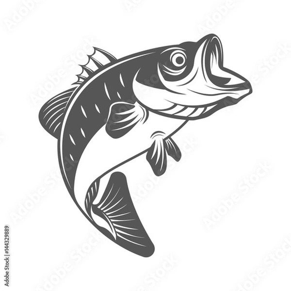 Obraz Ilustracja wektorowa ryb okonia w monochromatycznym stylu vintage. Elementy projektu logo, etykiety, godła.