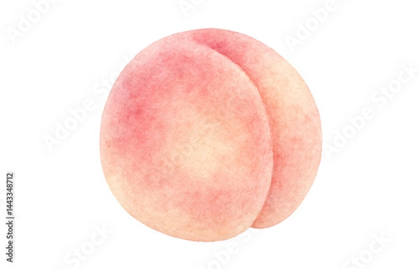 Fototapeta 桃 イラスト 水彩 白桃