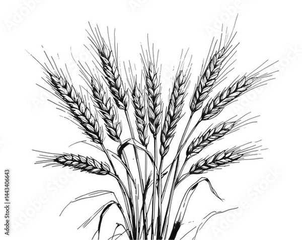 Fototapeta Elegant ink sketch of wheat stalks on an isolated canvas evoking artistic traditions and agricultural prosperity through minimalist design elements and monochrome artistry