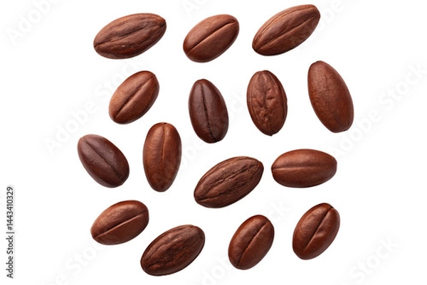 Fototapeta Raw Cocoa Beans Spread on White Background
