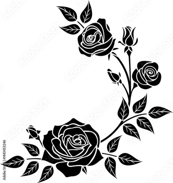 Obraz black  roses vector