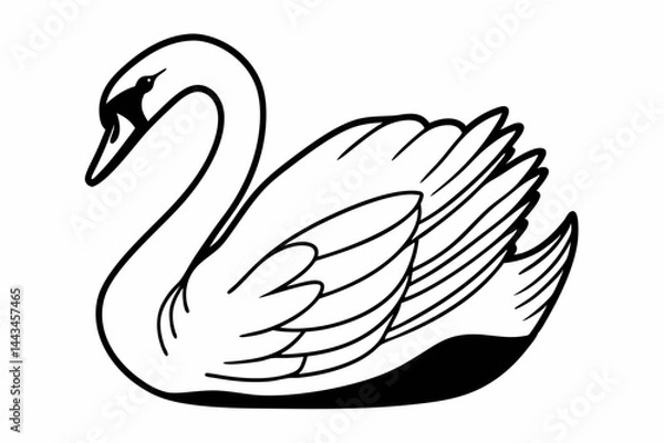 Obraz black swan vector