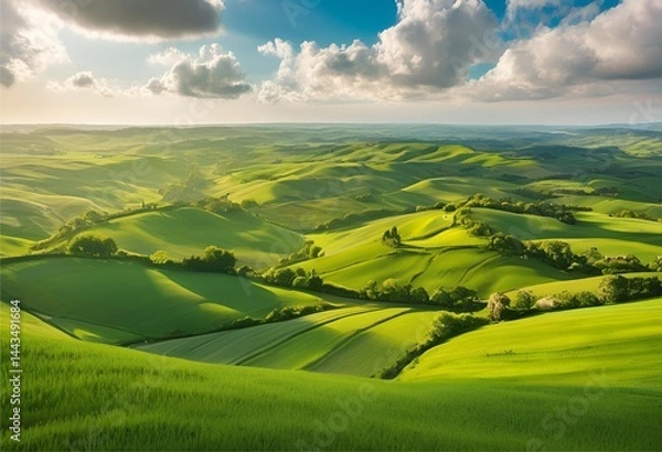 Fototapeta vast lush green meadow stretches far, with fresh air and a bright, clear atmosphere.
