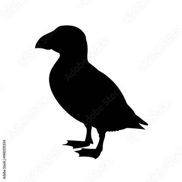 Fototapeta Minimalist silhouette of a puffin bird in profile view