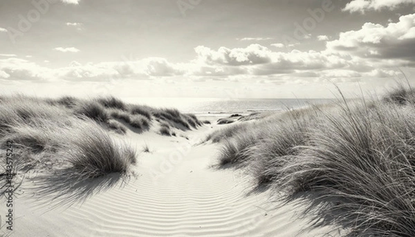 Fototapeta Scenic view of sand dunes with tall grasses against a cloudy ocean backdrop in black and white