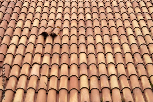 Obraz Pattern di tegole