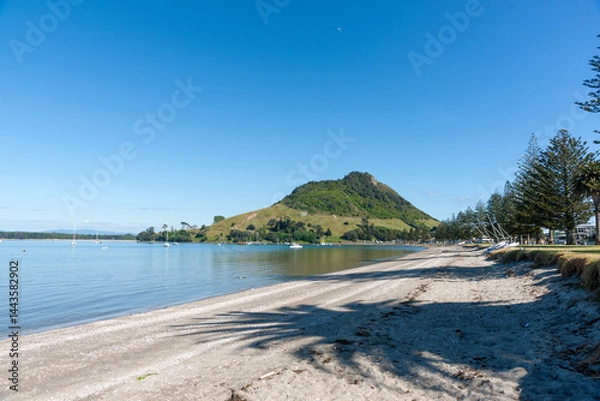 Fototapeta Pilot Bay Mount Maunganui