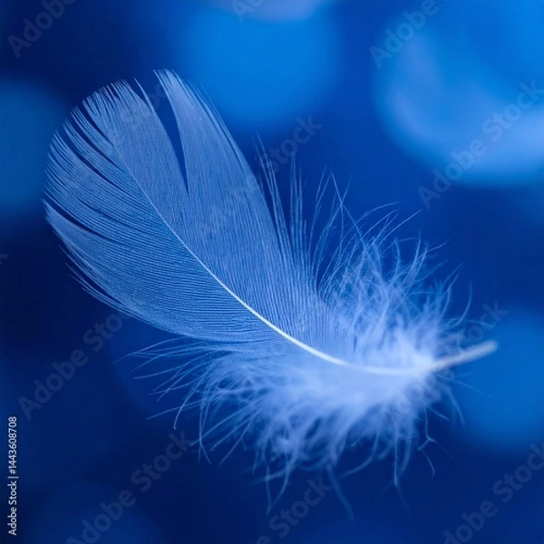 Fototapeta close up of beautiful white feather falling with abstract colorful background, graphic resource
