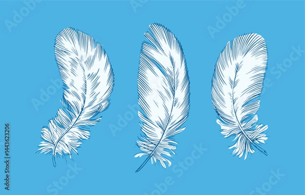 Obraz Feathers on white background. Hand drawn black fluffy feathers. Line and Ink sketch. Vintage style. Ethnic boho style hand drawing. ector clipart illustration. 