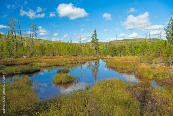 Obraz Tiny Pond in the Heart of the North Woods