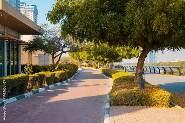 Fototapeta Ras al Khaimah city view, Palm-lined walkway. High quality photo