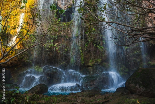 Obraz waterfall in the forest