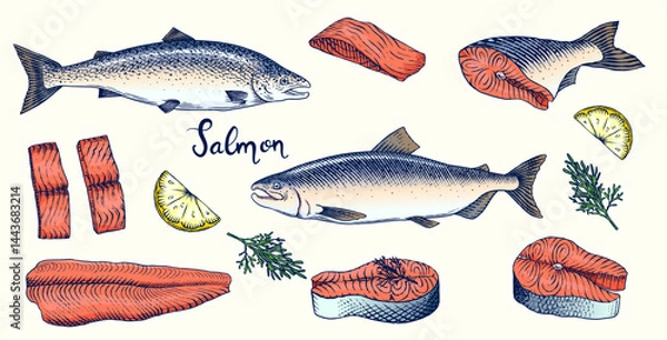 Obraz Fish sketch. Salmon fillet, ink hand drawn vector illustration. Steaks slices. Fresh product. Engraved style vintage seafood. sea food restaurant menu, cooking recipe, product package, card