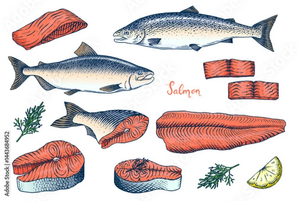 Obraz Fish sketch. Salmon fillet, ink hand drawn vector illustration. Steaks slices. Fresh product. Engraved style vintage seafood. sea food restaurant menu, cooking recipe, product package, card