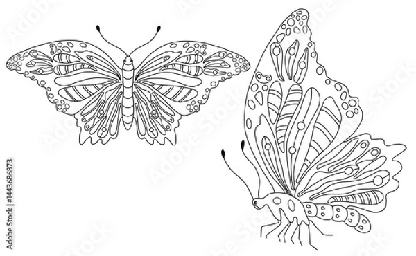 Obraz Set of 2 elegant black outline butterflies. Hand-drawn images isolated on transparent background, perfect for tattoo designs, logos, coloring books, packaging, and modern graphic design projects.