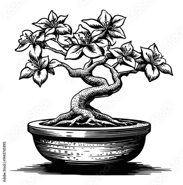 Fototapeta Hand-Drawn Engraving of a Bonsai Tree with Detailed Flowers and Roots