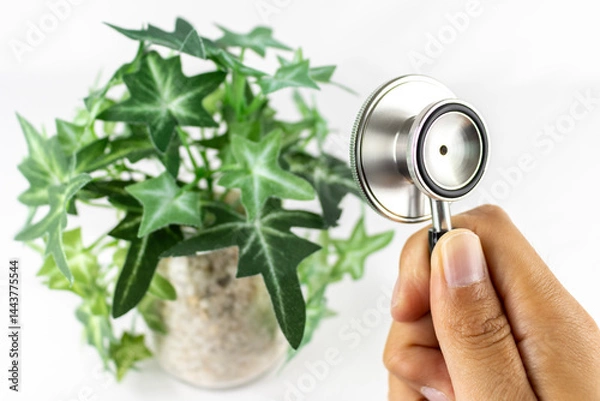 Fototapeta フェイクグリーンと手と聴診器