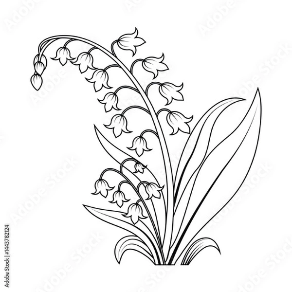 Obraz Detailed Black and White Lily Flower Design Vector Illustration