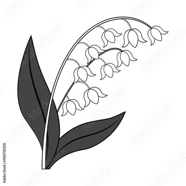 Obraz Minimalist Lily Flower Art Vector Illustration