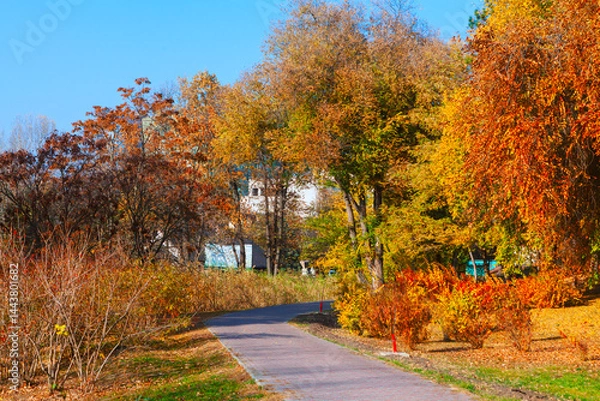 Obraz Paved path winds through vibrant autumn park, surrounded by trees with leaves in shades of orange, yellow, and red under blue sky. In distance, a building view through colorful foliage